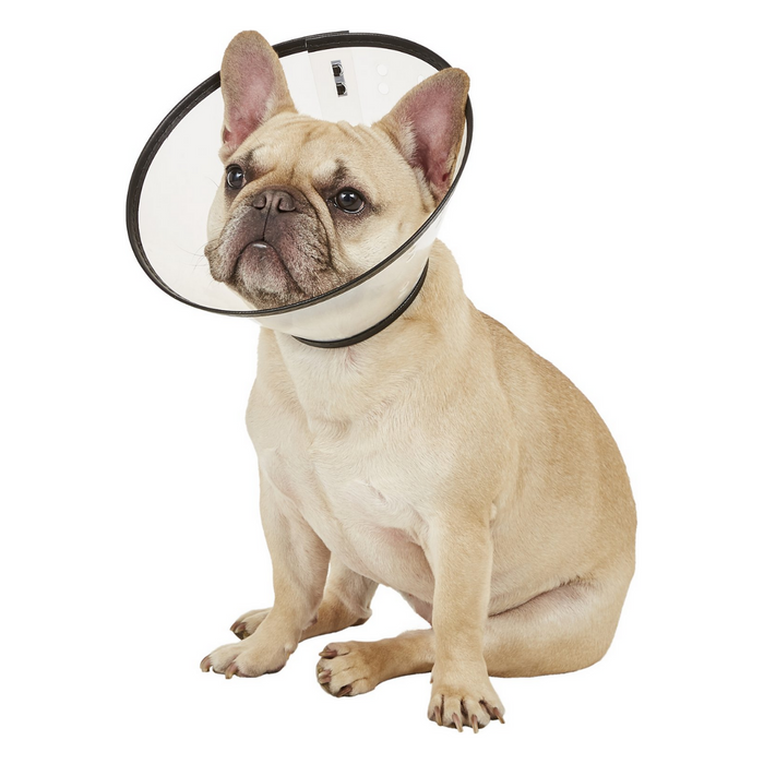 Remedy+Recovery Dog E-Collar Size Medium