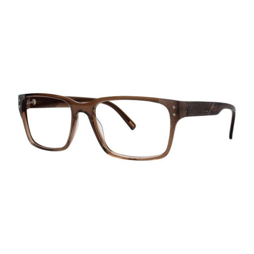 Timex L058 Brown Men's Optical Eyeglasses - SafeSavings