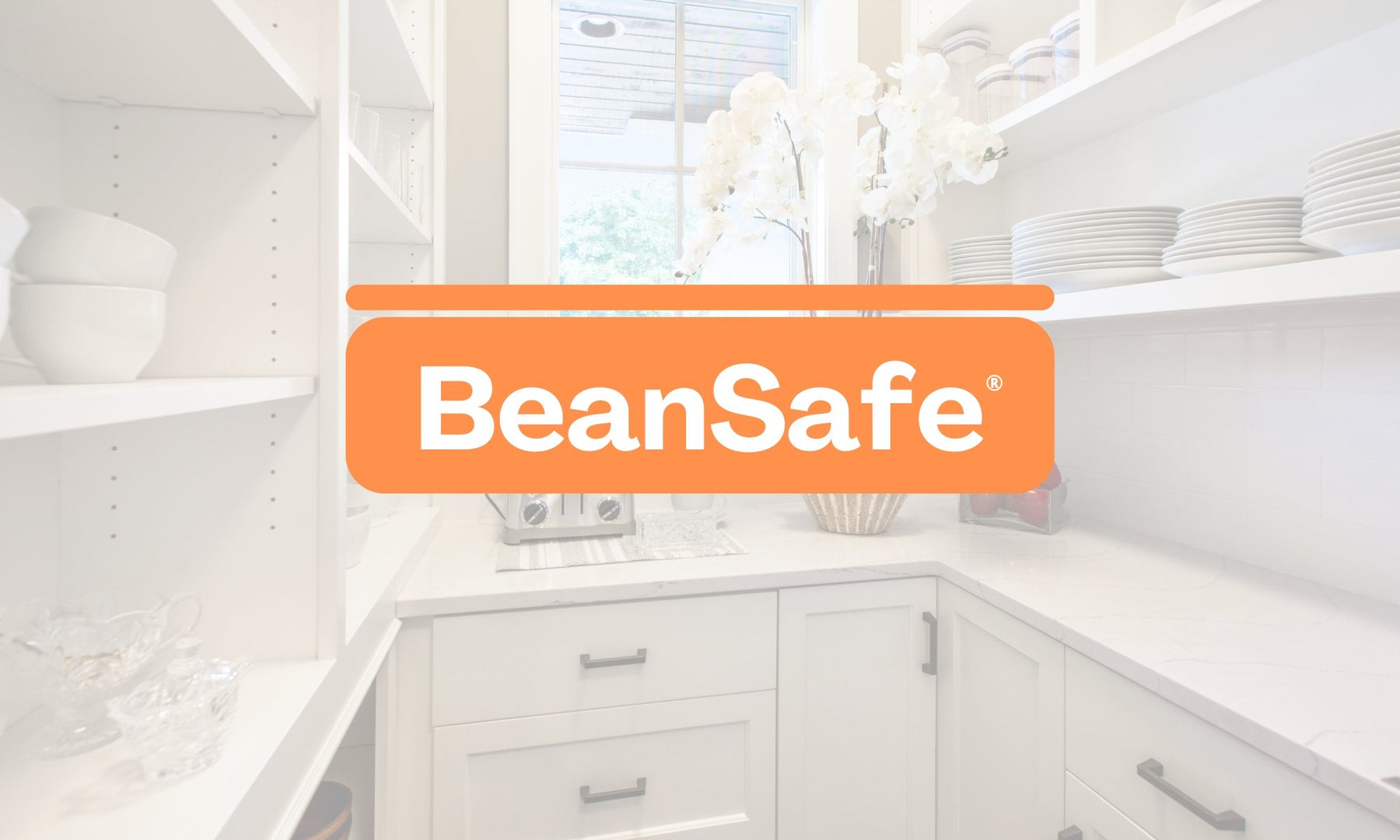 BeanSafe - SafeSavings