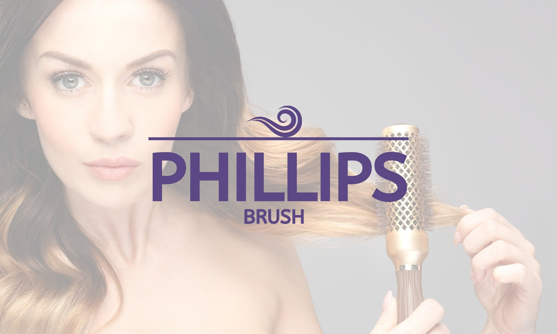 Phillips Brush - SafeSavings