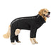 Canada Pooch The Slush Dog Suit By Canada Pooch Size 8 - Best By