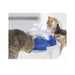 Catit Drinking Fountain Replacement Carbon Filter 3pk - Best By