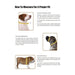 Hamilton Adjustable Comfort Nylon Dog Purple Harness 10-16in Chest - Best By
