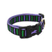 Jump Nylon Clip Collar Striped Purple & Green 7-9in - Best By