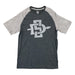 NCAA San Diego State SDSU Aztecs Men's Grey Striped Short Sleeve T-Shirt - SafeSavings