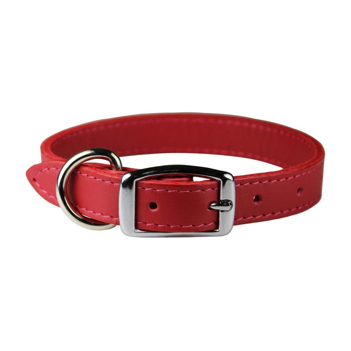 OmniPet Signature Red Leather Dog Collar - Best By