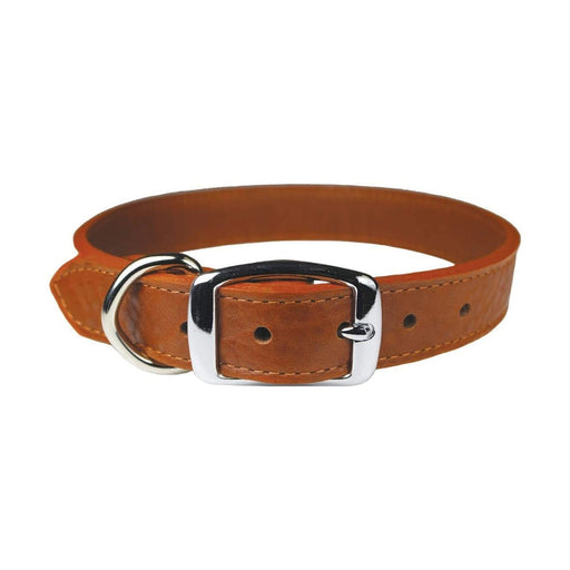 OmniPet Signature Tan Leather Dog Collar 10in - Best By